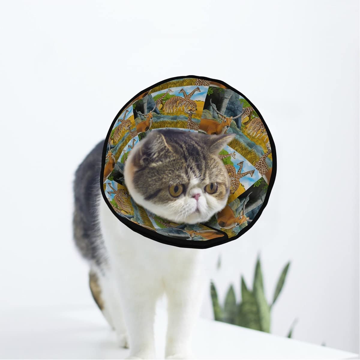Animals Soft Cat Dog Recovery Collar Adjustable Cat Cone Wound Healing Protective After Surgery for Kitten Cones After Surgery