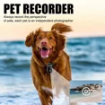 thumbnail image 5 of HD 1080P Mini Pet Camera Collar 32GB TF Card Loop Recording for Dogs Cat US, 5 of 8