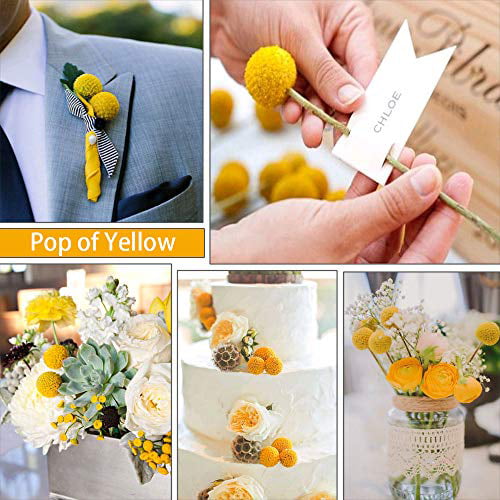HUAESIN 30Pcs Natural Dried Flowers Craspedia Billy Balls Flowers Dried Billy Buttons Floral Bouquet for Arrangements Wedding Home Tall Vase Decor Yellow 