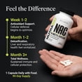 thumbnail image 6 of NutraBio N-Acetyl Cysteine Supplement (NAC) - 90 Capsules, 600mg Each - Powerful Anti-Oxidant - Immune Support - Boost Glutathione, 6 of 9