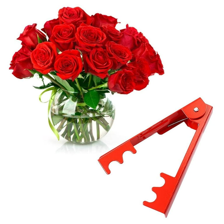 Professional Rose Leaf Thorn Stripper Kit, Stripping Tool Thorn Remover - for Roses & Garden Glove, Size: 1 PC, Red