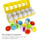 thumbnail image 5 of De Huevos Educativos A Juego Para Niños Con Soporte Amarillo Juego De Simulación De Huevo Para Niños Rompecabezas De Aprendizaje De Formas De Colores Mezclados12 Piezas 2 Piezas Scienceny FN002170-00, 5 of 5