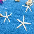 thumbnail image 6 of Natural Coral Starfish Resin Ornaments, 4 Inch Mixed Beach Theme Decor for Fish Tanks, Aquarium Landscape, Wedding Centerpieces, Diy Crafts, and Coastal Home Decoration, 6 of 6