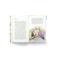 thumbnail image 3 of Around the World in 80 Birds, (Hardcover), 3 of 4