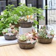 thumbnail image 2 of Pots de Fleurs Charnus Animaux Style Campagnard Américain Pots Succulents Résine Mini Pots de Fleurs, 2 of 6