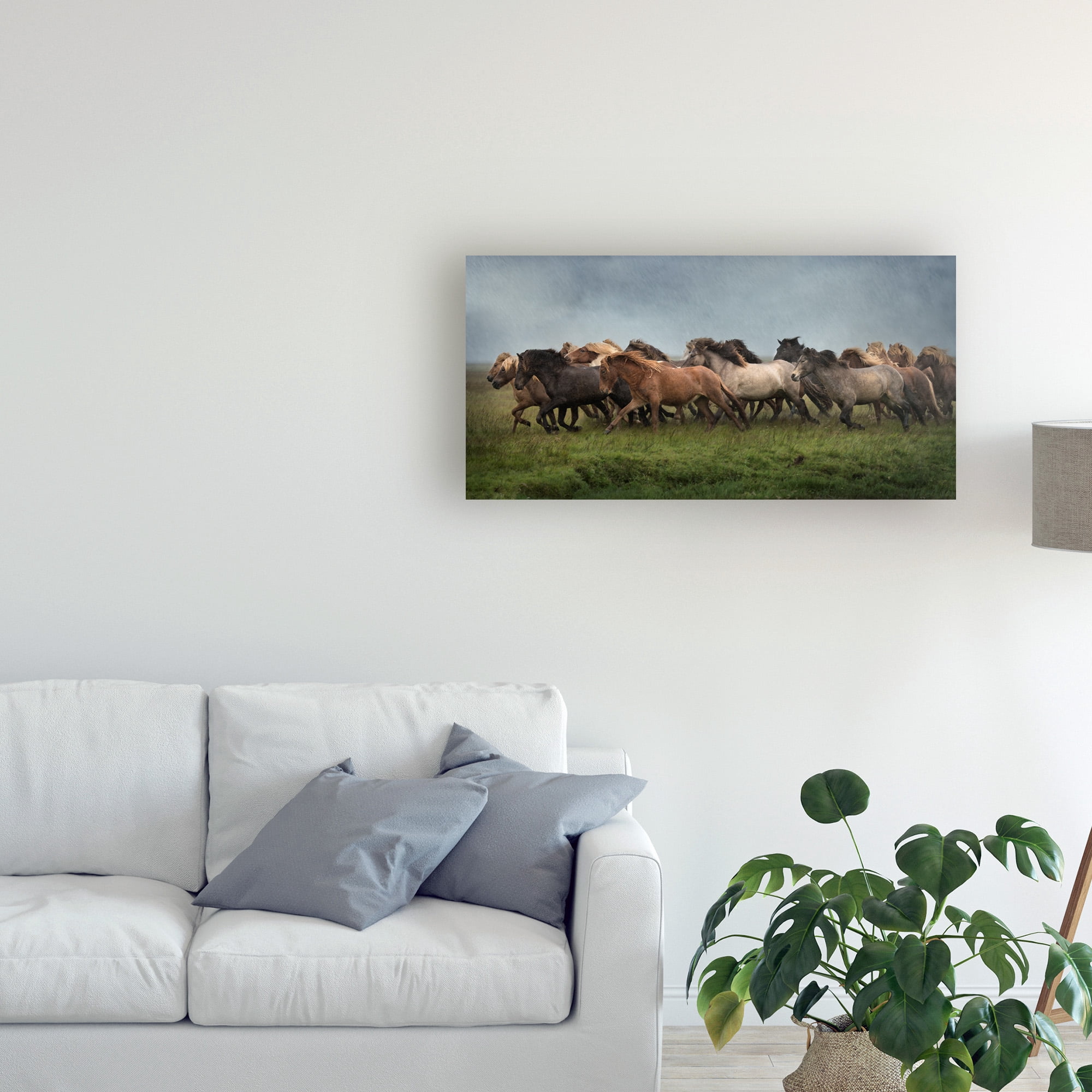 Trademark Fine Art 'Icelandic Horses XIII' Canvas Art by PHBurchett