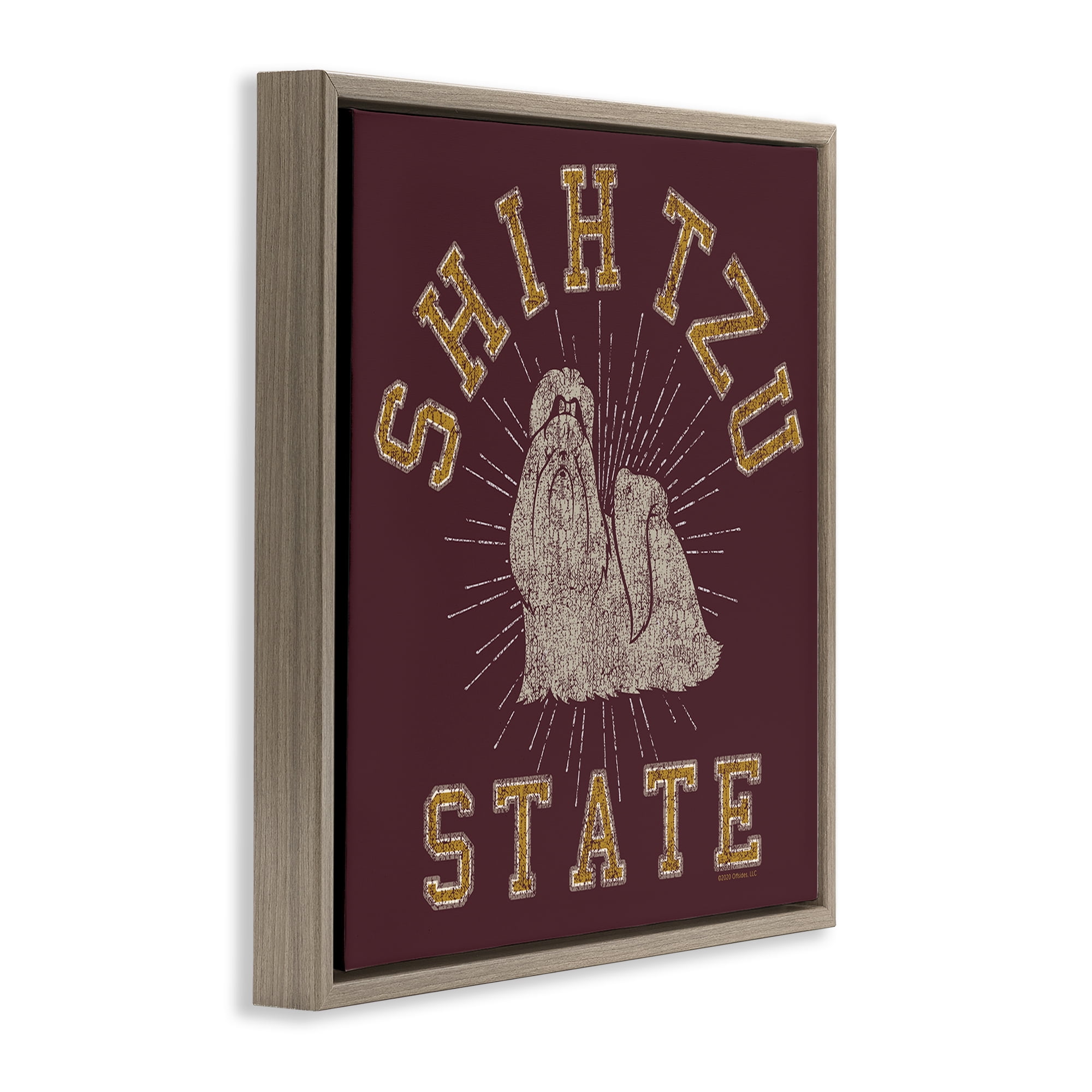 Stupell Industries Shih Tzu State Varsity Novelty & Humor Painting Brown Floater Framed Canvas Art Print Wall Art, 18 x 18