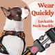 thumbnail image 2 of Arnés para perros Rabbitgoo, mejorado, sin tirones, para perros grandes, color naranja L, 2 of 8