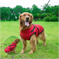 thumbnail image 3 of Topcobe Waterproof Warm Dog Zip up Coats for Indoor Outdoor, Pet Winter Protection Jacket with D-ring, Warm & Soft Vest Pullover Clothes for Small/ Large Dogs, S-4XL Red, 3 of 4