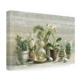 thumbnail image 4 of Trademark Fine Art 'Greenhouse Orchids on Wood v2' Canvas Art by Danhui Nai, 4 of 4