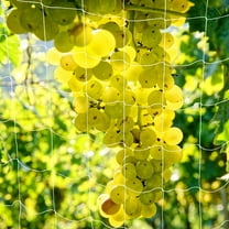 GOOHOCHY  Climbing Net Garden Trellis Netting Plant Outdoor Plants White