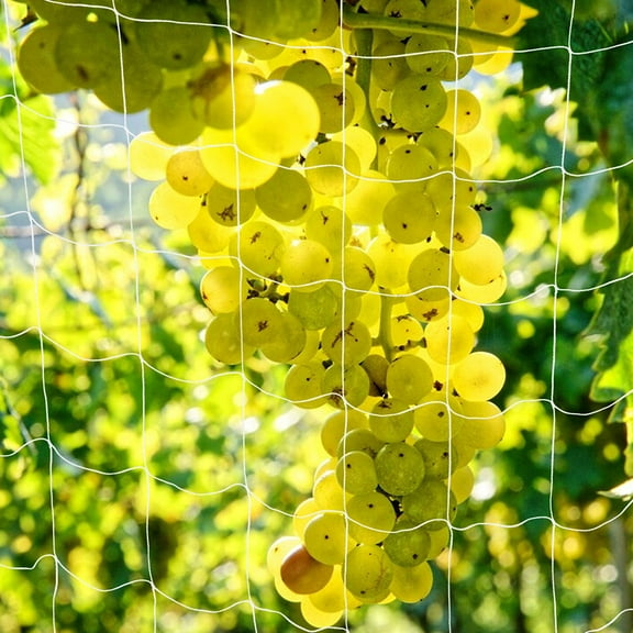 GOOHOCHY  Climbing Net Garden Trellis Netting Plant Outdoor Plants White