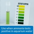 thumbnail image 6 of API Ammo Lock Ammonia Detoxifier for Aquariums, 4 oz (Treats 236 Gallons), 6 of 8
