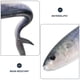 thumbnail image 4 of Señuelo artificial de hundimiento vívido, señuelo de pez realista, herramienta de pesca para agua dulce y salada, 4 of 7