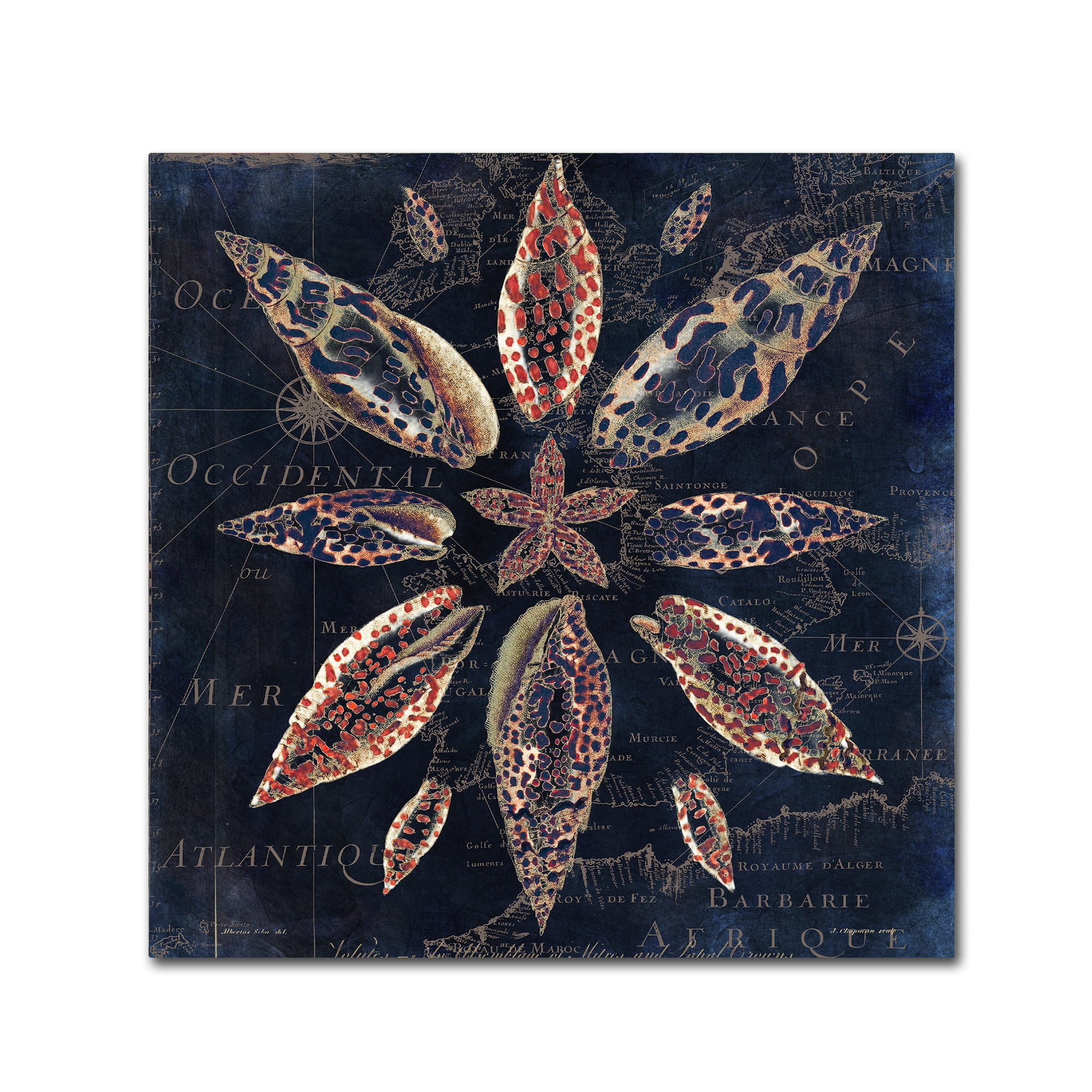 Trademark Fine Art "Maritime Blues VII" Canvas Art by Color Bakery
