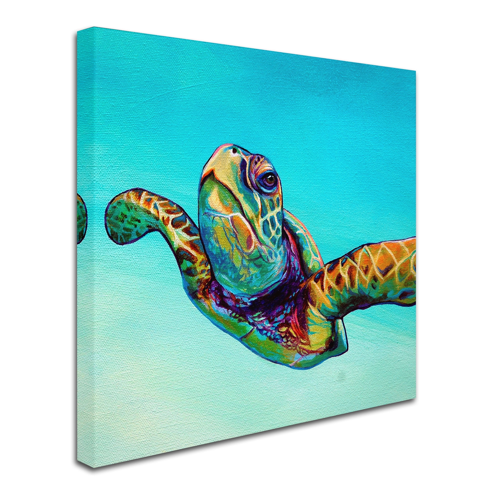 Trademark Fine Art 'Green Sea Turtle' Canvas Art by Corina St. Martin
