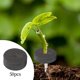 thumbnail image 3 of Fijador de raíces de , protección de plántulas, herramienta de jardinería hidratada, insertos suaves para sin suelo, flores, frijoles, Negro Macarena fijador de raíces, 3 of 8