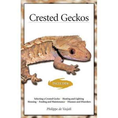 - Crested Geckos
