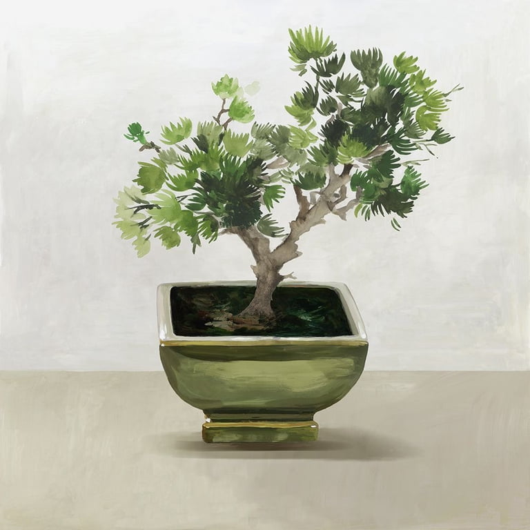 Jensen, Asia 26x26 White Modern Wood Framed Museum Art Print Titled - Bonsai  Tree I - Walmart.com