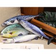 thumbnail image 2 of Dosaele 1pc 40cm/15.7in Simulation Fish Plush Toy Pillow Decoration Soft Fish-Shaped Pillow Cushion Creative Gift For Home Decor, 2 of 7