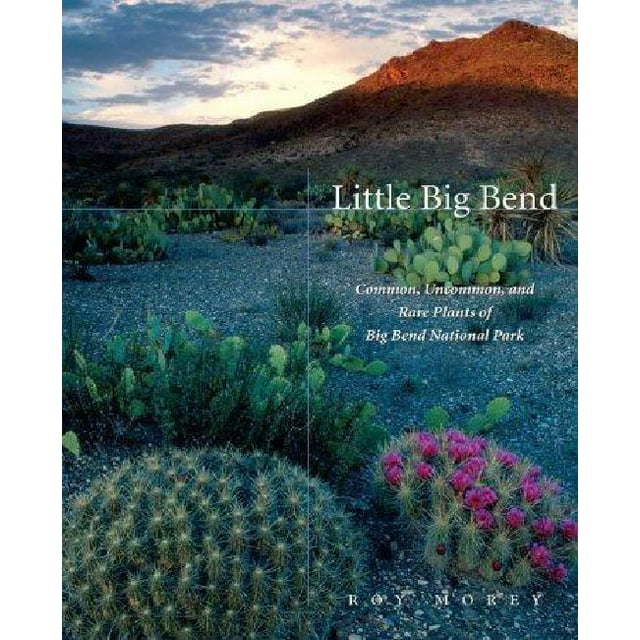 Little Big Bend: Common, Uncommon, and Rare Plants of Big Bend National Park