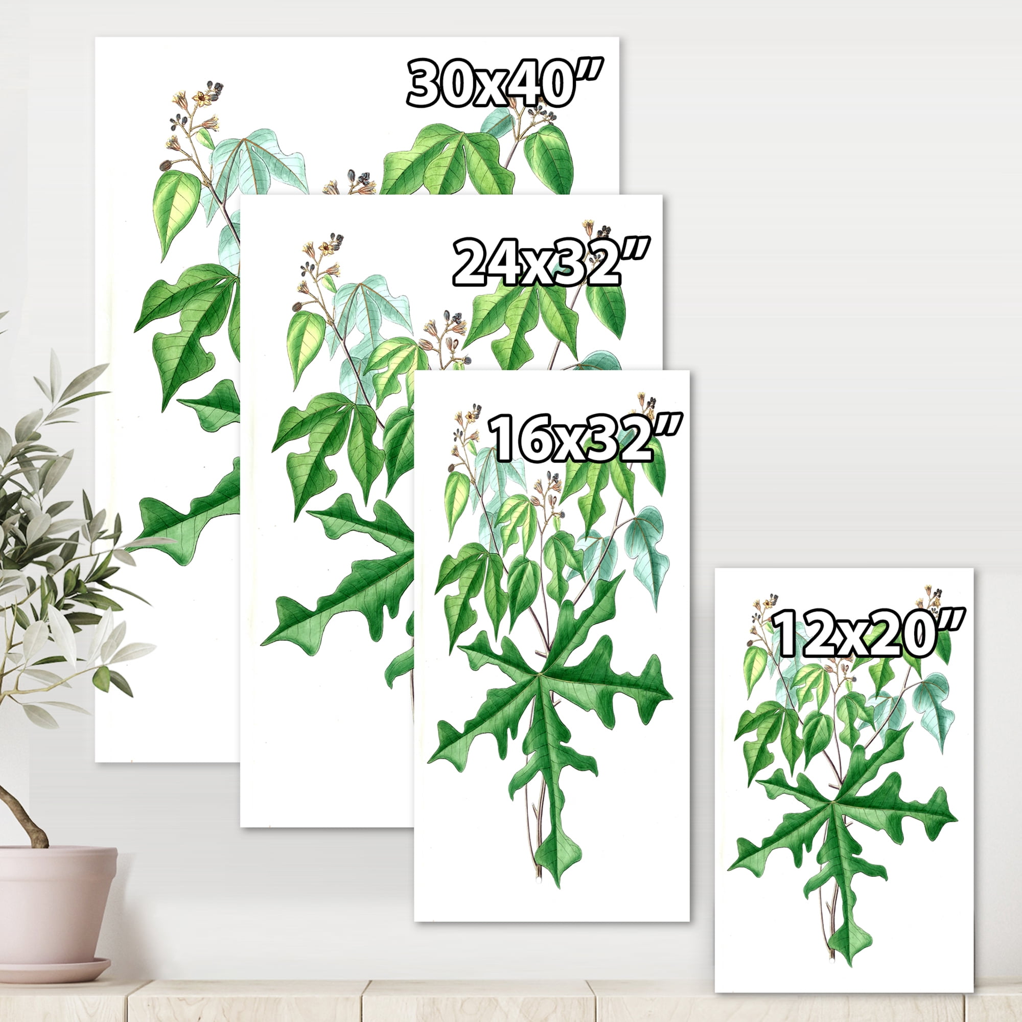 Designart ' Ancient Drawing of Wild Plants ' Traditional Canvas Wall Art Print