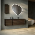 thumbnail image 6 of Dreamwerks Eva 40" W x 37.9" H Irregular Shaped LED Lighted Mirror with Dimmer & Defogger, 6 of 9