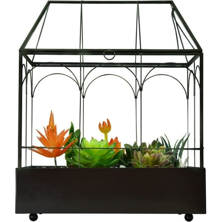 Large Tall Glass Plant Terrarium – House Succulent Terrarium Kit with Lip and Tray Glass Greenhouse Terrarium for Plant 9.5”X5.7”X11.4”
