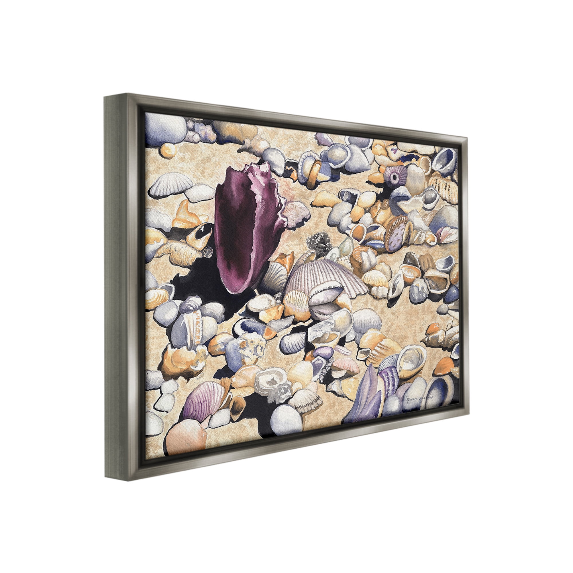 Stupell Industries Various Seashells on Coast Landscape Painting Gray Floater Framed Canvas Art Print Wall Art, 31 x 25