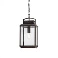 thumbnail image 1 of Quoizel Byron Large Hanging Lantern in Imperial Bronze, 1 of 5