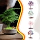 thumbnail image 4 of Decoración de piedra Árbol de dinero alambre de cobre Estilo 3, 4 of 6