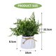 thumbnail image 2 of Macetas de plástico, bolas de hierba, plantas verdes, plantas en macetas, flores de simulación, adornos creativos, plantas artificiales., 2 of 5