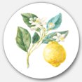 thumbnail image 1 of Designart « Floursack Lemon I » Art Mural Rond en Métal Style Ferme, 1 of 3