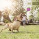 thumbnail image 3 of 3pcs Squeaky Dog Ball, Scooby Doo Dog Ball Toy Teeth Cleaning Puppy Interactive Chew Durable Toy, 3 of 5