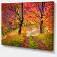 thumbnail image 2 of Bright Colorful Fall Trees in Forest - Large Landscape Canvas Art Print, 2 of 4