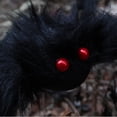 thumbnail image 6 of Halloween Decorations 30" Large Spider Decorations Hairy Spider with Colorful Legs Fake Scary Red Eyes Posable Spiders Props for Home Party Garden Yard Patio Haunted House Indoor Outdoor, 6 of 6