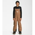 thumbnail image 3 of The North Face Teen Freedom Insulated Bib Pant - Youth, 3 of 12