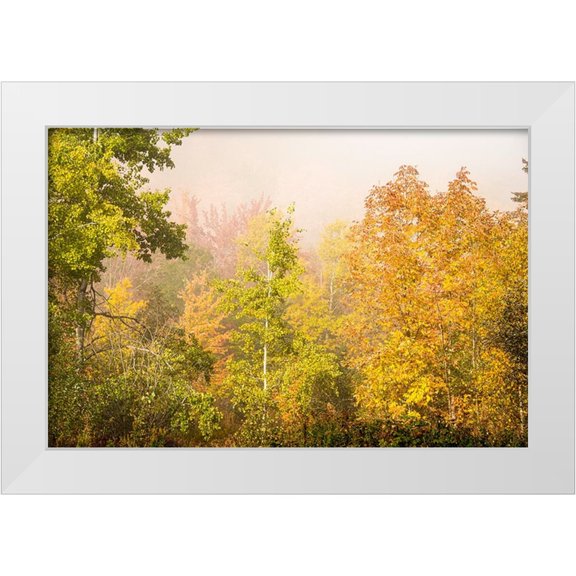 Jones, Allison 14x11 White Modern Wood Framed Museum Art Print Titled - USA-New Hampshire-fall foliage north of Whitefield-along Rt 3