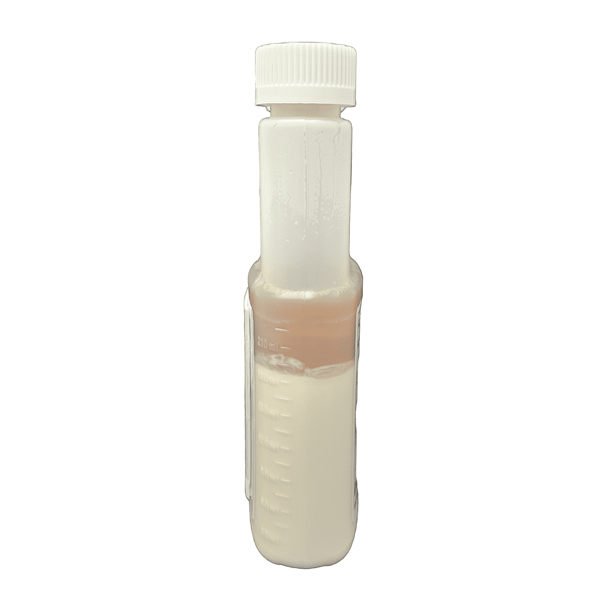 Temprid FX Insecticide 240 mL by Envu