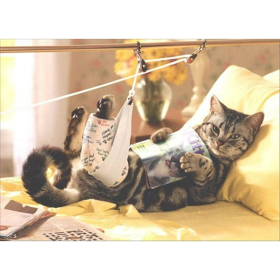 Avanti Press Cat in Traction Get Well Card