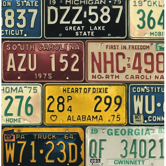 Harry & Grace Multicolored License Plates Peel and Stick Wallpaper