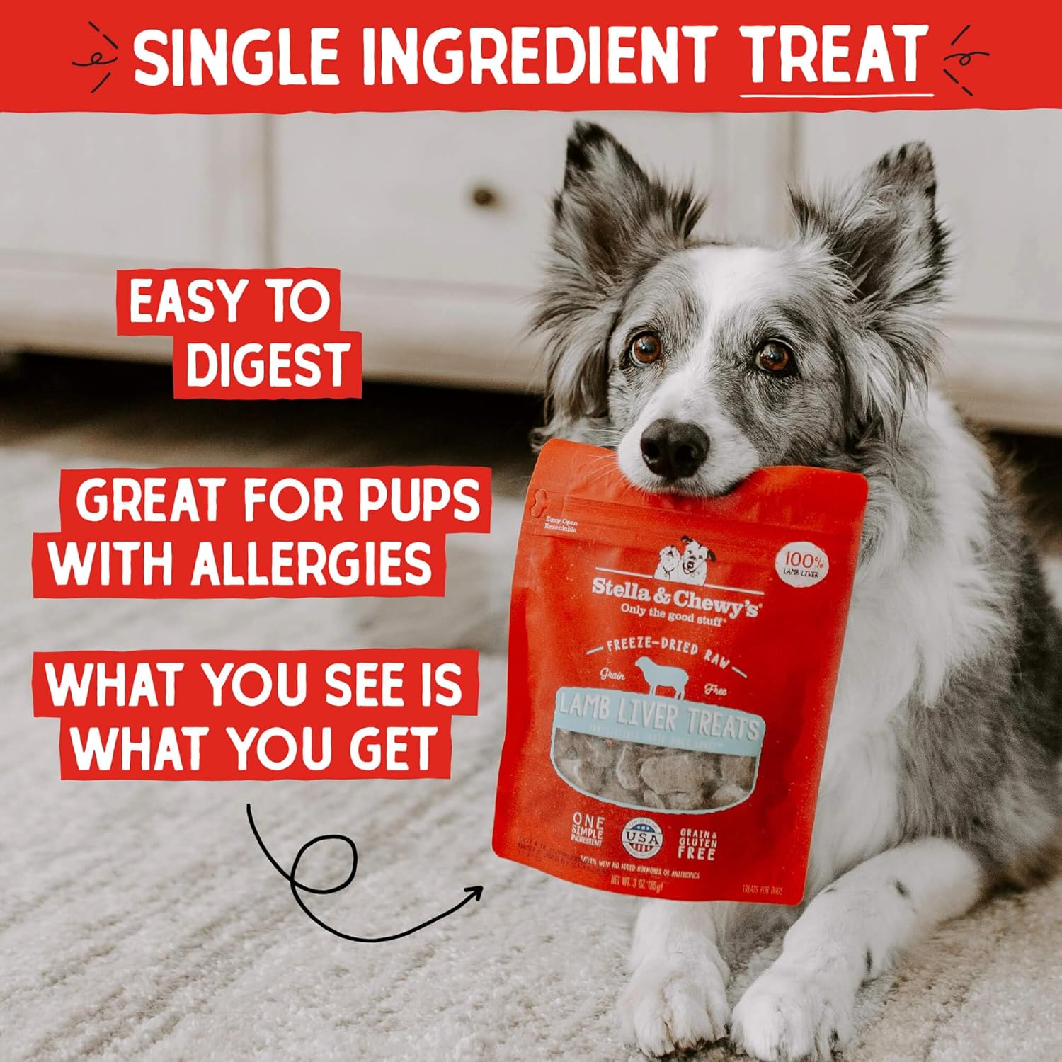 Stella & Chewy's Lamb Liver Treats for Dogs - 3 Ounce Bag