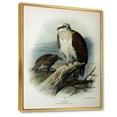 thumbnail image 3 of Designart 'Ancient Bird Life VI' Traditional Framed Canvas Wall Art Print, 3 of 5