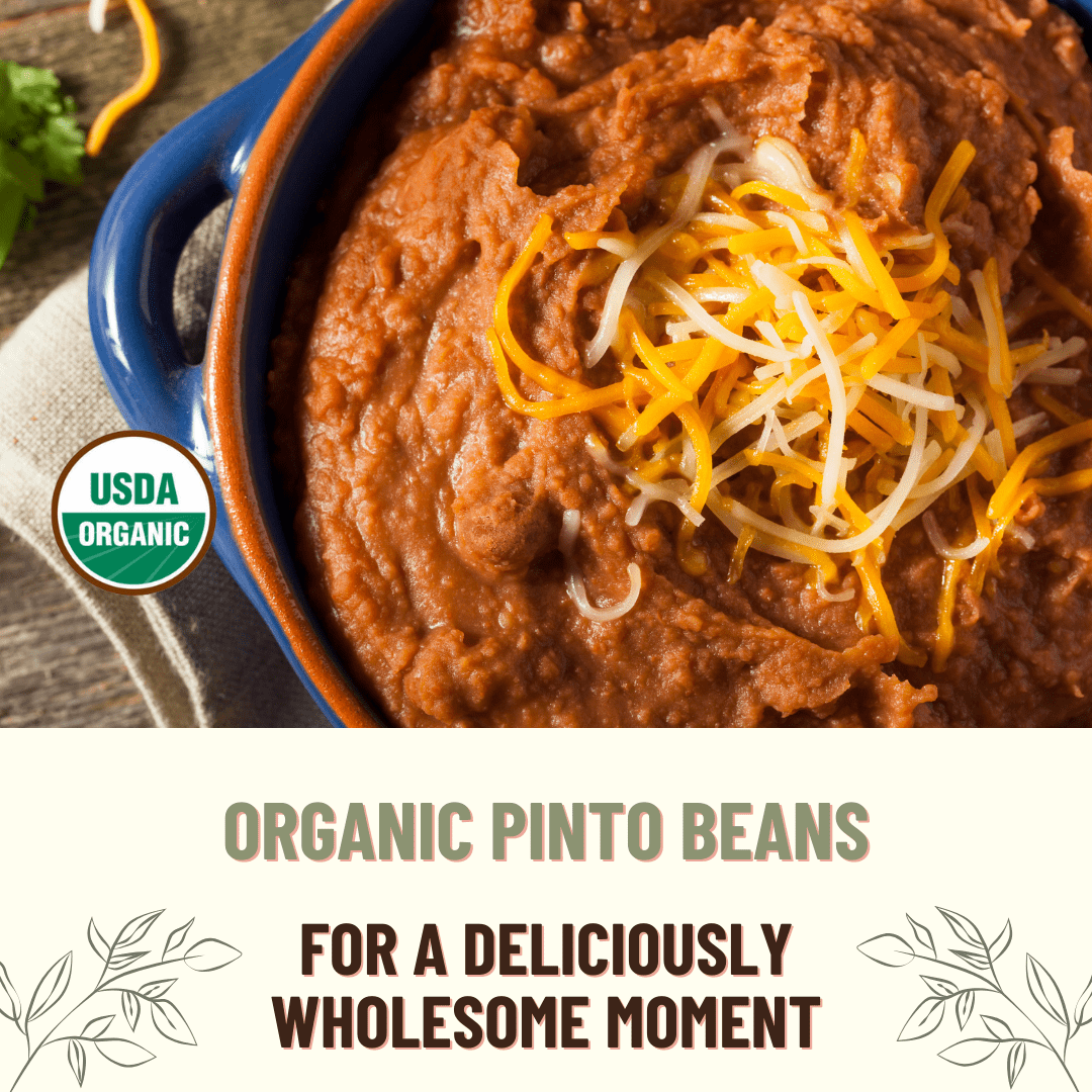 Pinto Bean, 40LB Emergency Bucket, USA Grown, USDA Certified Organic & GMO Free, Sustainable Farming Practices-Mountain High Organics