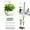 White#2234, variant on cpengpj ClearanceGreen Seed Pod Kit Green Leafy Vegetables, Romaine And Butterhead Lettuce Seed Pod Kit (Kit 1: 30pcs/set (Seedling Cover. Stickers. Planting Basket) Kit 2: 30p