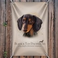 thumbnail image 3 of Black and Tan Dachshund Wiener Dog Breed Home Business Office Sign, 3 of 4