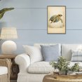 thumbnail image 3 of Stupell Industries Eclectic Maritime Bathing Society Turtle Black Framed Giclee Art, 12 x 18, by Grotto Studios, 3 of 8
