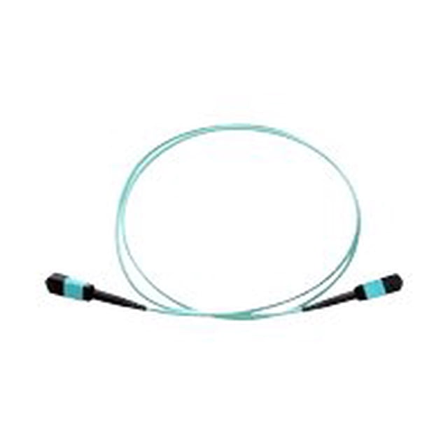 Axiom AX - Câble Réseau - MPO Multimode (m) vers MPO Multimode (m) - 2 m - Fibre Optique - 50 / 125 micron - OM4 - riser - aqua