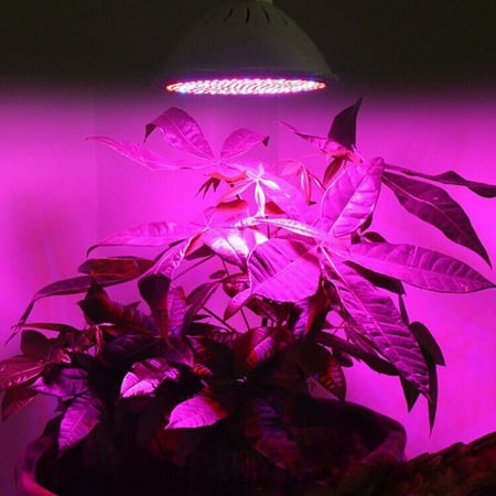 

E27 200 Led Grow Light Hydroponic Lighting With Clip Plants Lamps For