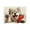 B, variant on Lilixerw 18x12 Inch Funny Dog Pattern Home Placemat,Heat-Resistant & Non-Slip Table Protector,Washable Linen Placemat for Dining Table,Kitchen Decor,Cute Pet Themed,Multicolor